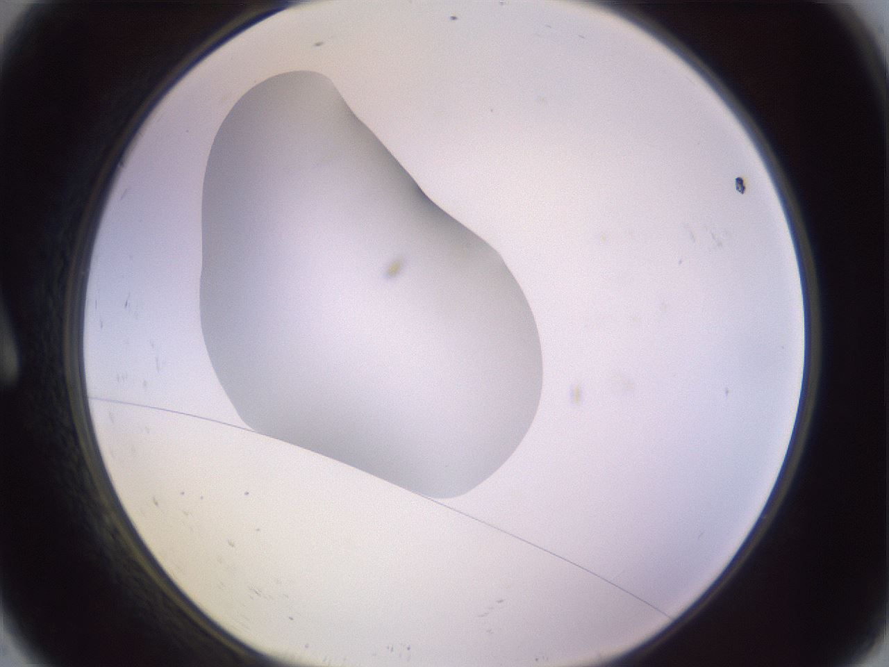 folderID410_plateID1410_batchID5183_wellNum9_profileID1_d1_r86330_ef.jpg