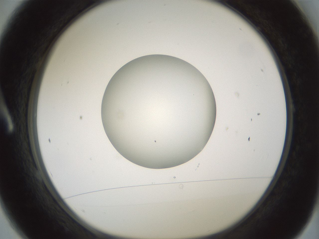 folderID414_plateID1414_batchID5189_wellNum1_profileID1_d1_r86706_ef.jpg