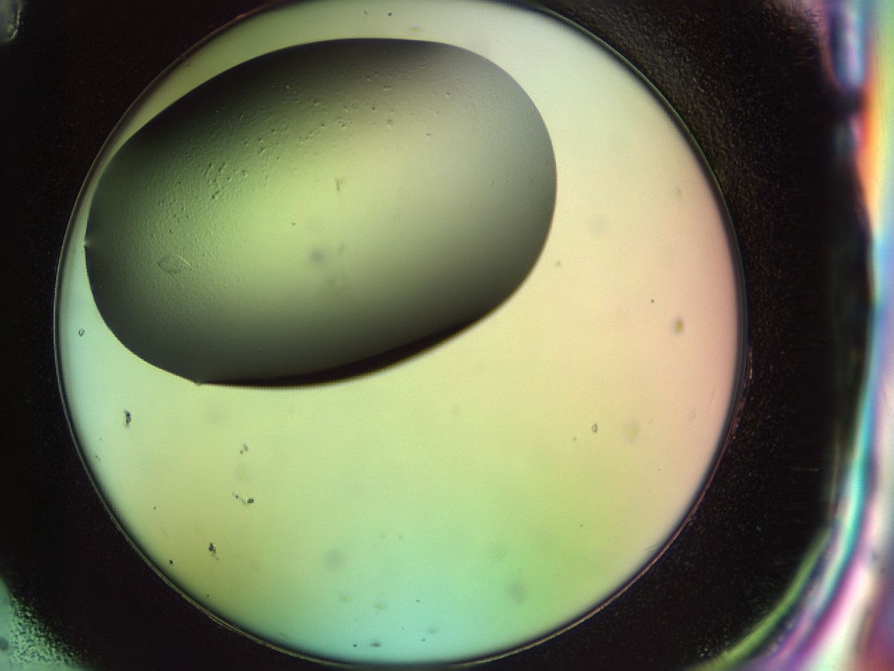 02mw_H11_ImagerDefaults_9.jpg