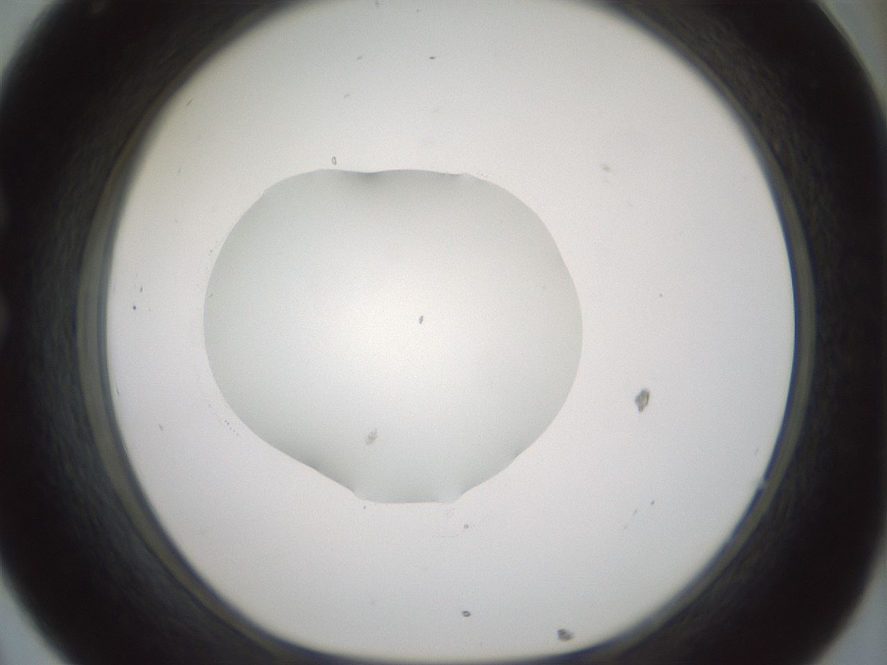 folderID414_plateID1414_batchID5189_wellNum32_profileID1_d1_r86737_ef.jpg
