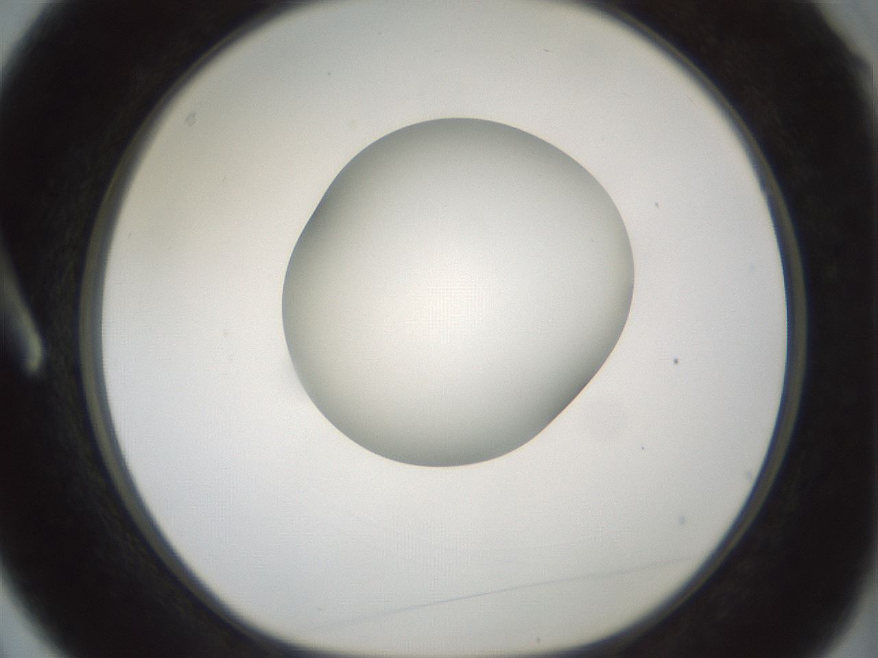 folderID414_plateID1414_batchID5189_wellNum3_profileID1_d1_r86708_ef.jpg