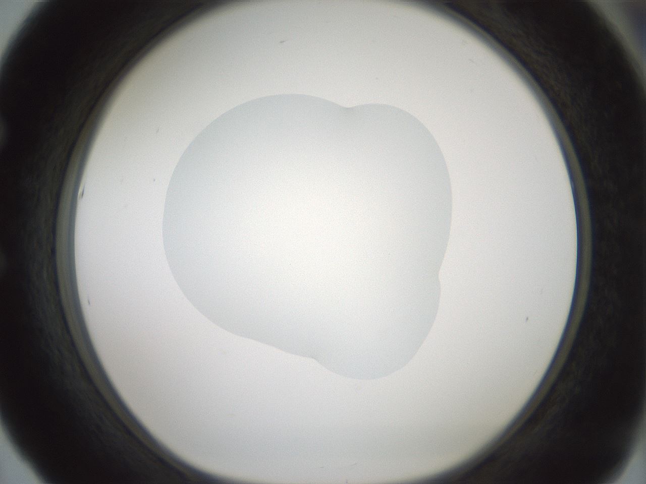 folderID414_plateID1414_batchID5189_wellNum53_profileID1_d1_r86758_ef.jpg
