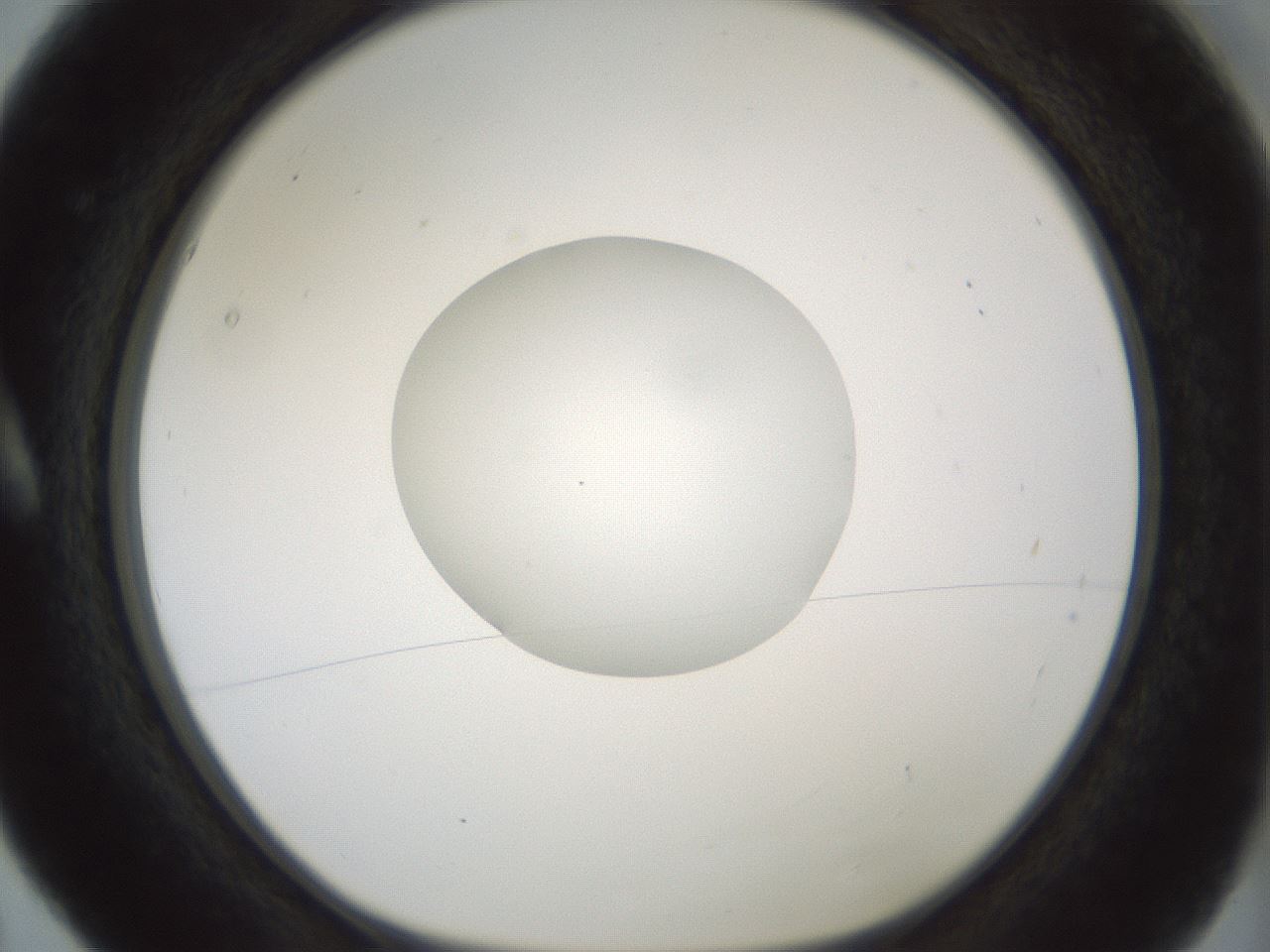 folderID414_plateID1414_batchID5189_wellNum5_profileID1_d1_r86710_ef.jpg