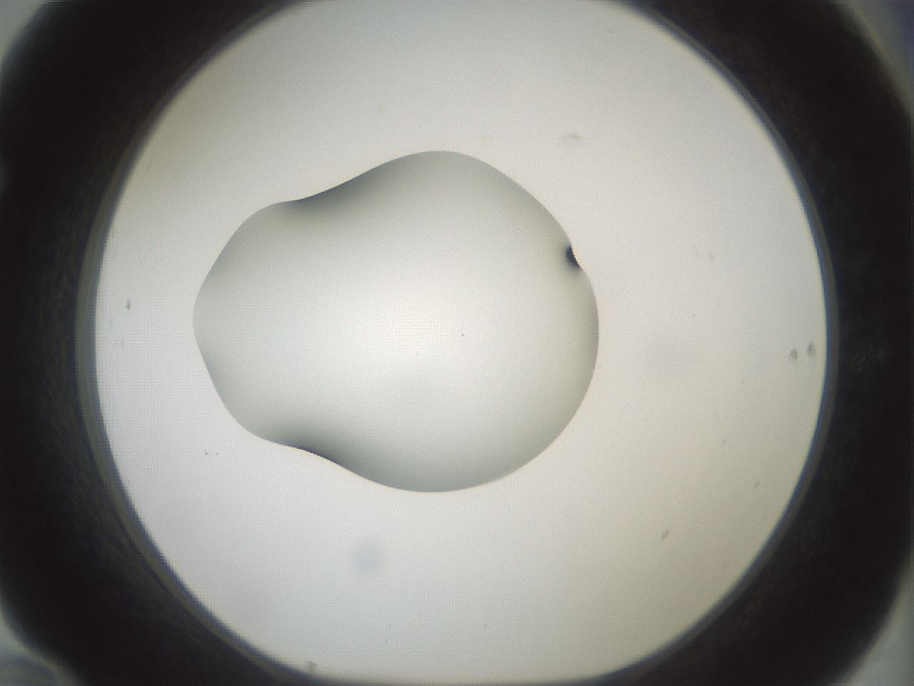 folderID414_plateID1414_batchID5189_wellNum70_profileID1_d1_r86775_ef.jpg