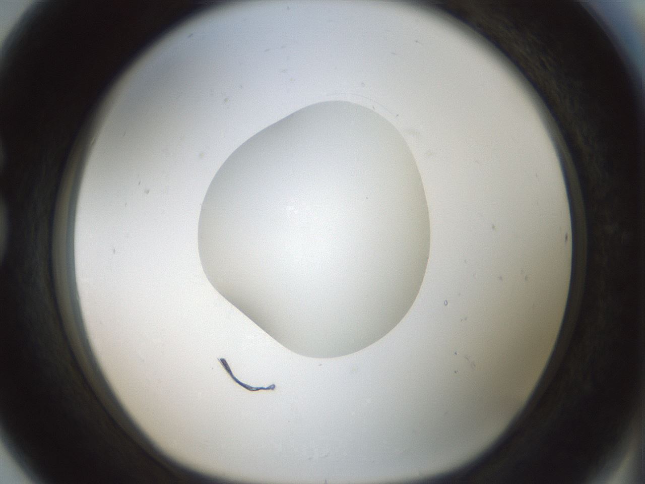 folderID414_plateID1414_batchID5189_wellNum80_profileID1_d1_r86785_ef.jpg