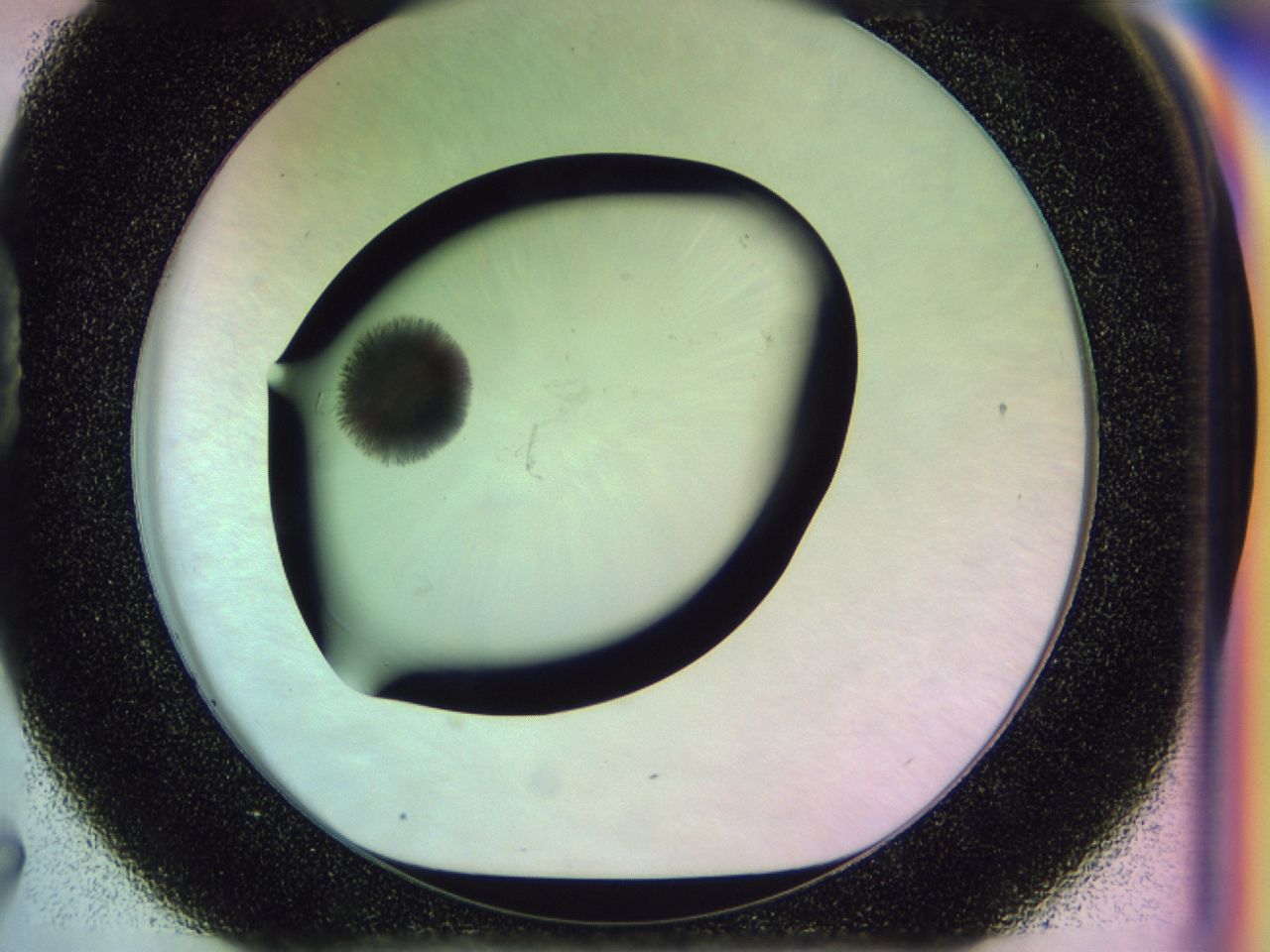 02mx_D7_ImagerDefaults_7.jpg