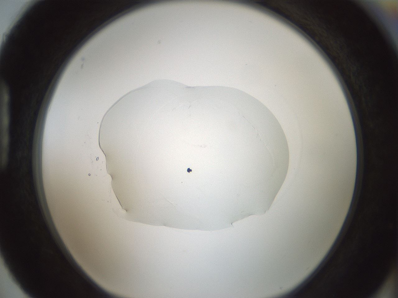 folderID414_plateID1414_batchID5189_wellNum88_profileID1_d1_r86793_ef.jpg