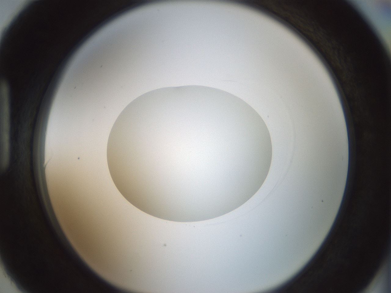 folderID414_plateID1414_batchID5189_wellNum90_profileID1_d1_r86795_ef.jpg
