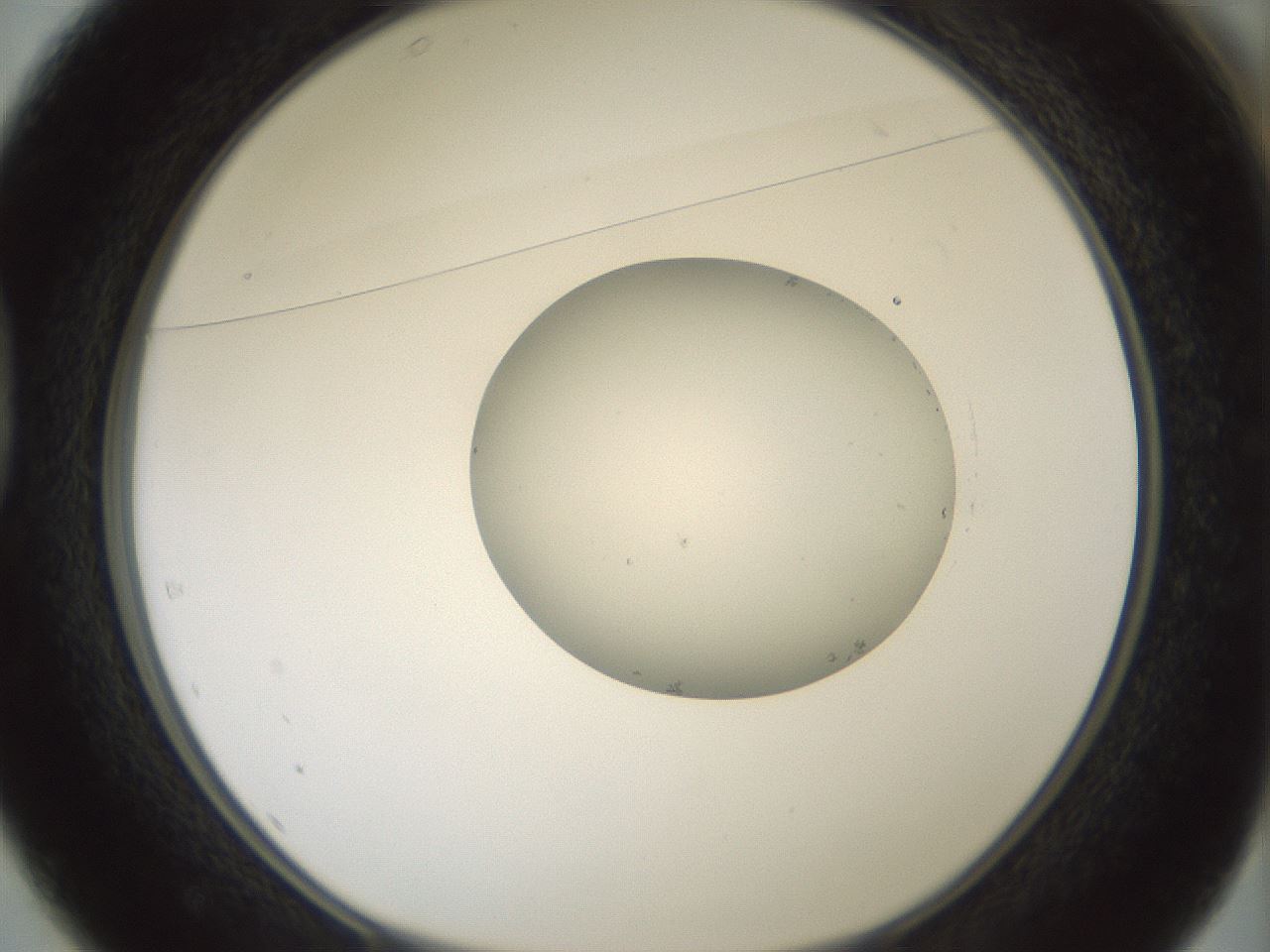 folderID415_plateID1415_batchID5192_wellNum37_profileID1_d1_r86934_ef.jpg