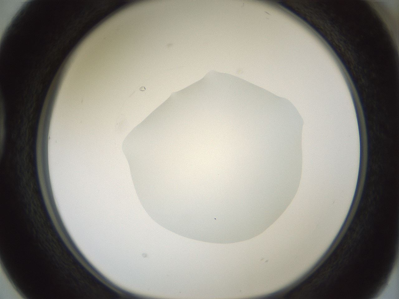folderID415_plateID1415_batchID5192_wellNum38_profileID1_d1_r86935_ef.jpg