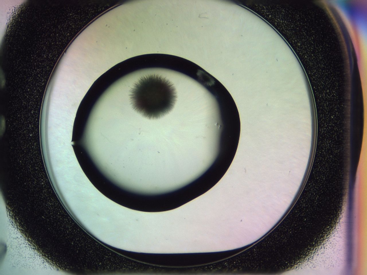 02mx_C7_ImagerDefaults_7.jpg