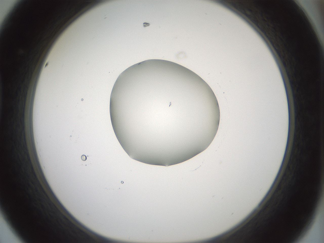 folderID415_plateID1415_batchID5192_wellNum44_profileID1_d1_r86941_ef.jpg