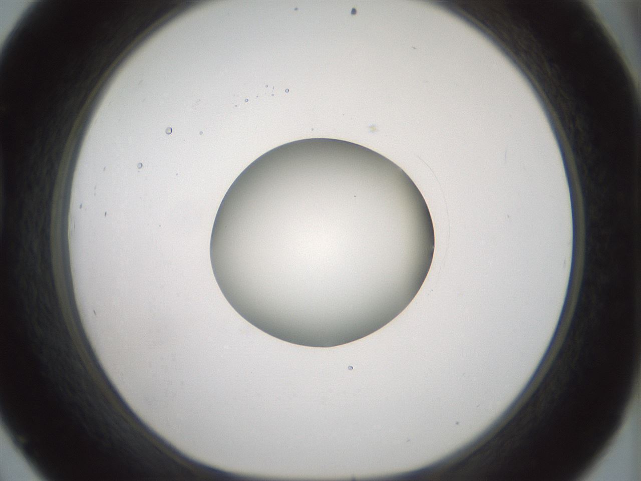 folderID415_plateID1415_batchID5192_wellNum45_profileID1_d1_r86942_ef.jpg
