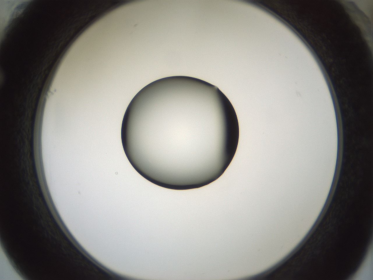 folderID415_plateID1415_batchID5192_wellNum61_profileID1_d1_r86958_ef.jpg