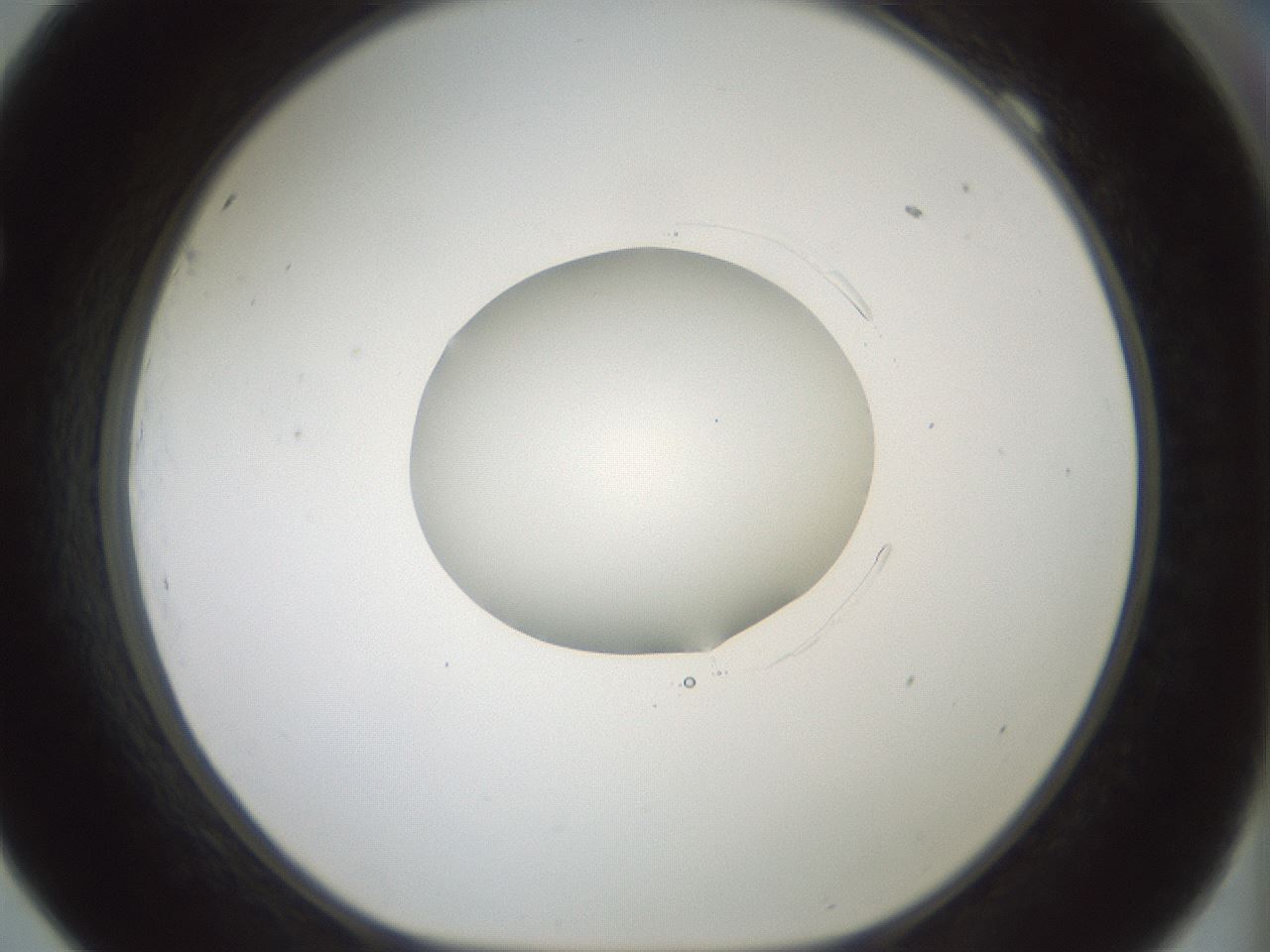 folderID415_plateID1415_batchID5192_wellNum69_profileID1_d1_r86966_ef.jpg