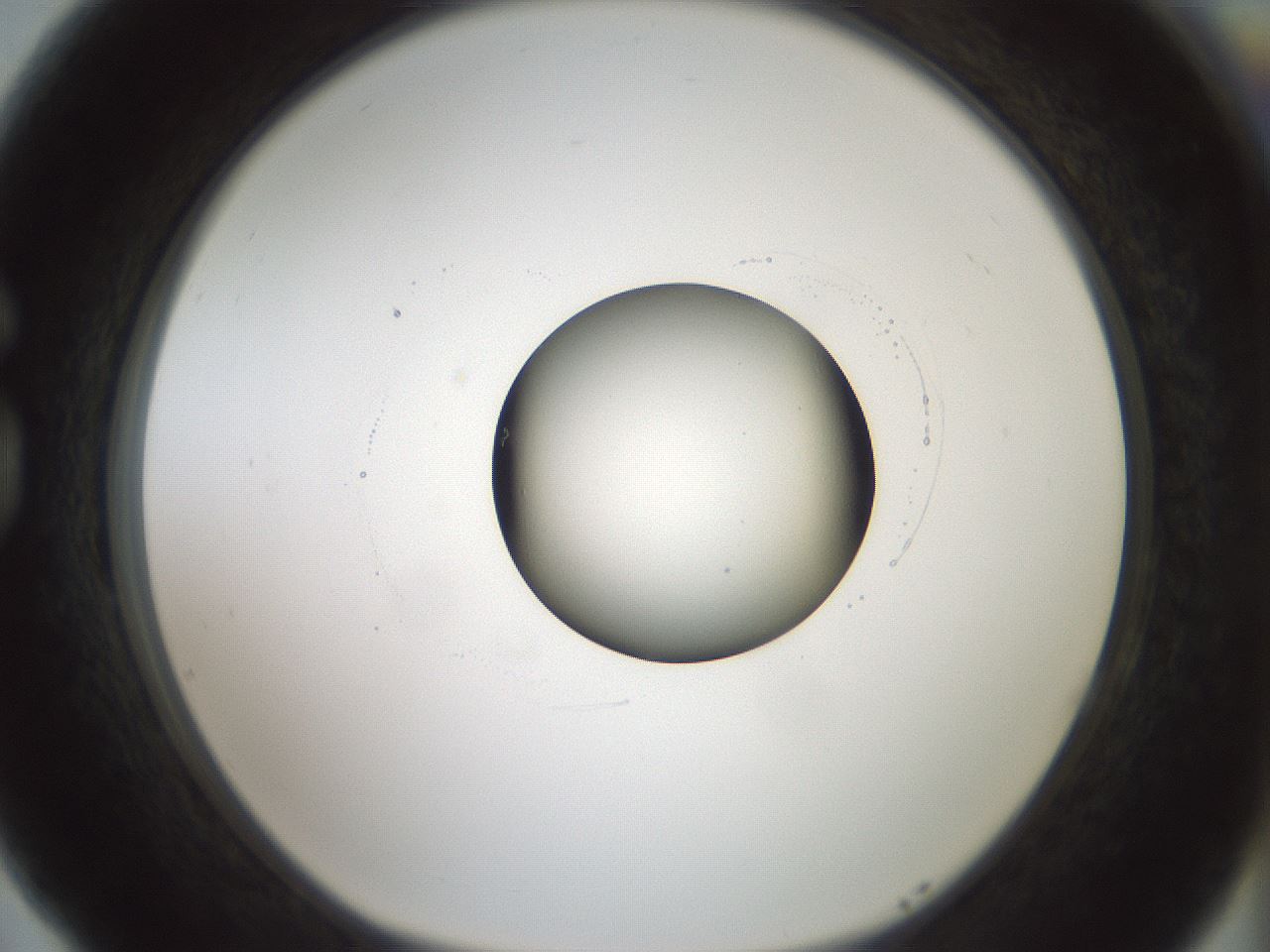 folderID415_plateID1415_batchID5192_wellNum77_profileID1_d1_r86974_ef.jpg