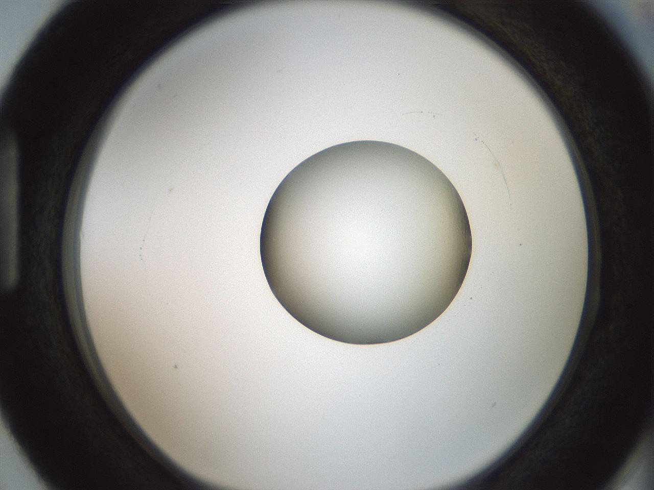 folderID415_plateID1415_batchID5192_wellNum87_profileID1_d1_r86984_ef.jpg