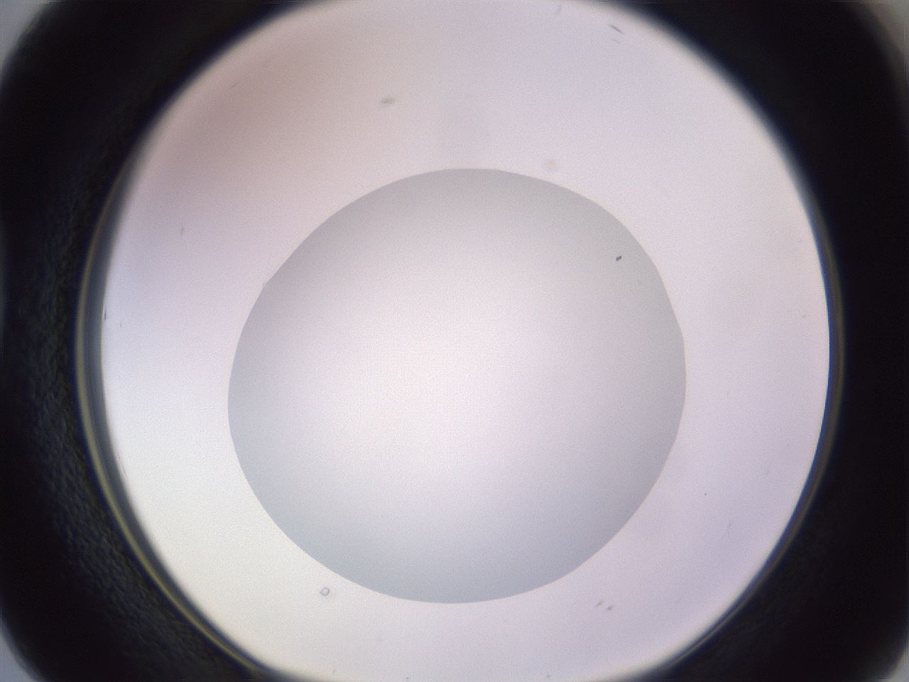 folderID416_plateID1416_batchID5191_wellNum38_profileID1_d1_r86839_ef.jpg