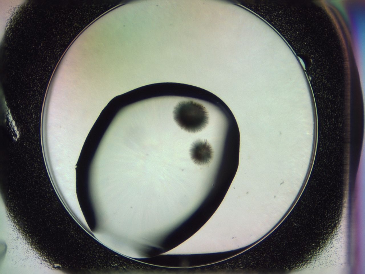 02mx_A7_ImagerDefaults_7.jpg