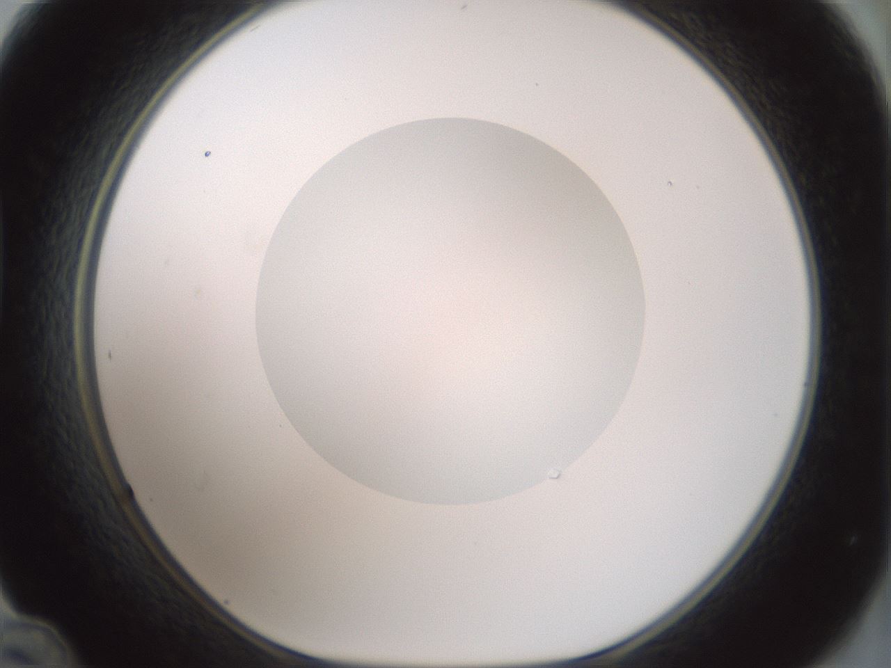 folderID415_plateID1415_batchID5192_wellNum48_profileID1_d1_r86945_ef.jpg