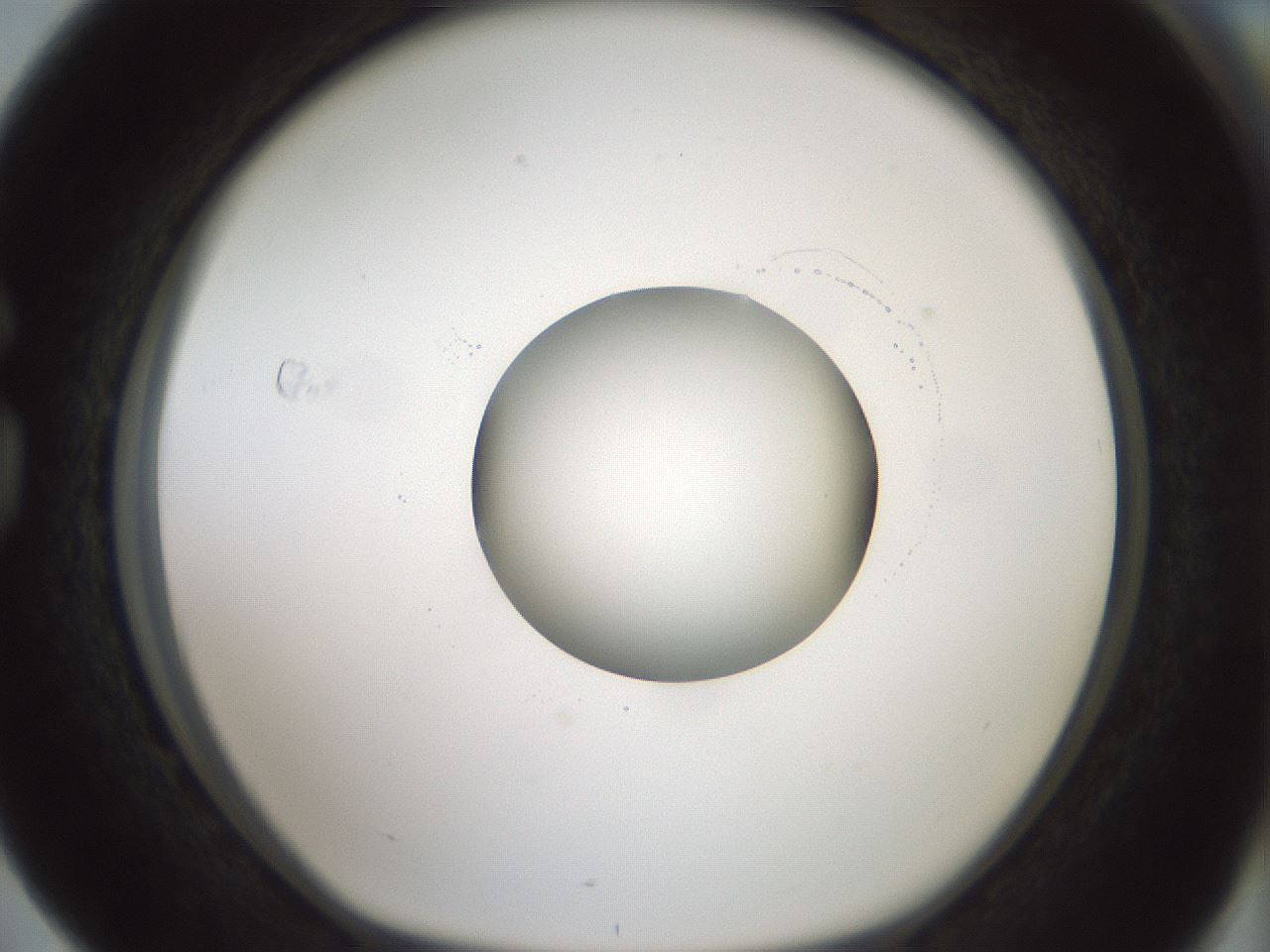 folderID415_plateID1415_batchID5192_wellNum76_profileID1_d1_r86973_ef.jpg