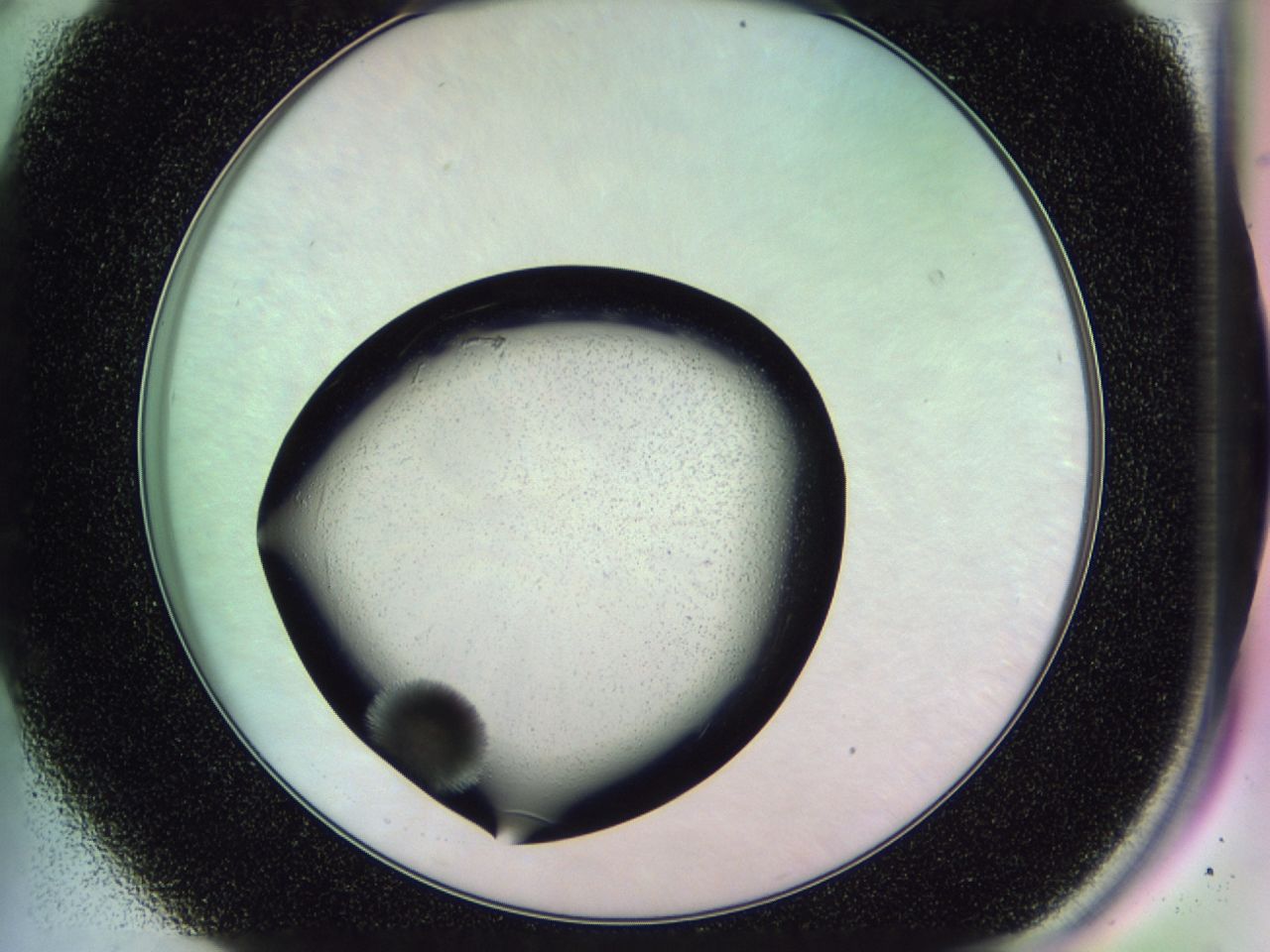 02mx_A8_ImagerDefaults_7.jpg