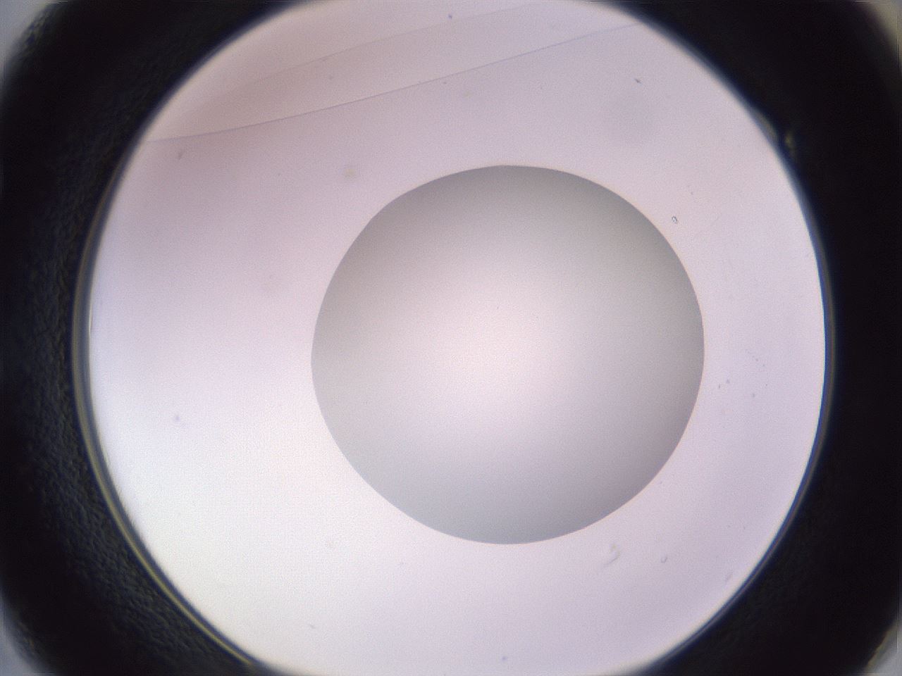 folderID416_plateID1416_batchID5191_wellNum49_profileID1_d1_r86850_ef.jpg