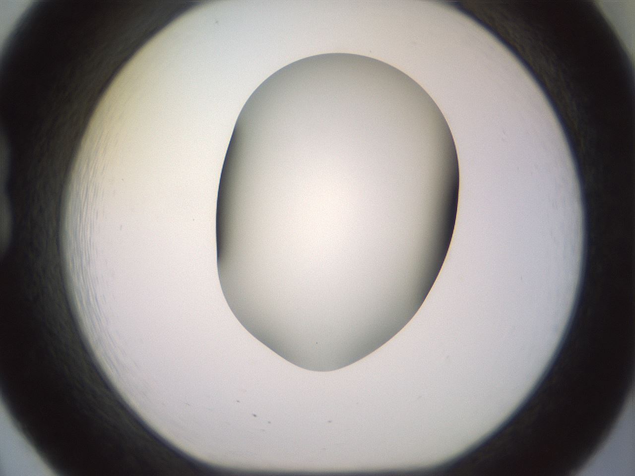 folderID416_plateID2416_batchID11658_wellNum20_profileID1_d1_r179187_ef.jpg