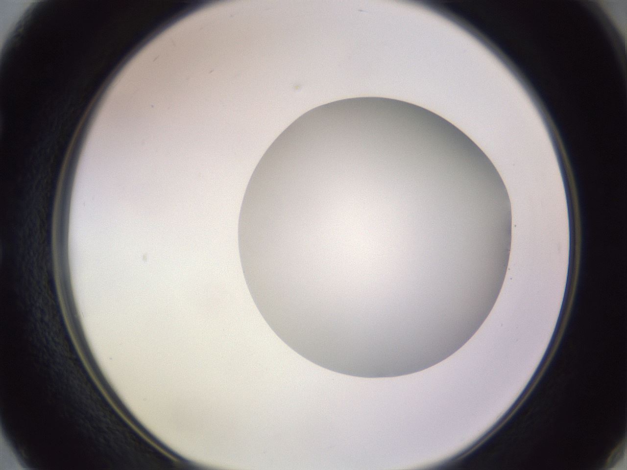 folderID416_plateID1416_batchID5191_wellNum50_profileID1_d1_r86851_ef.jpg