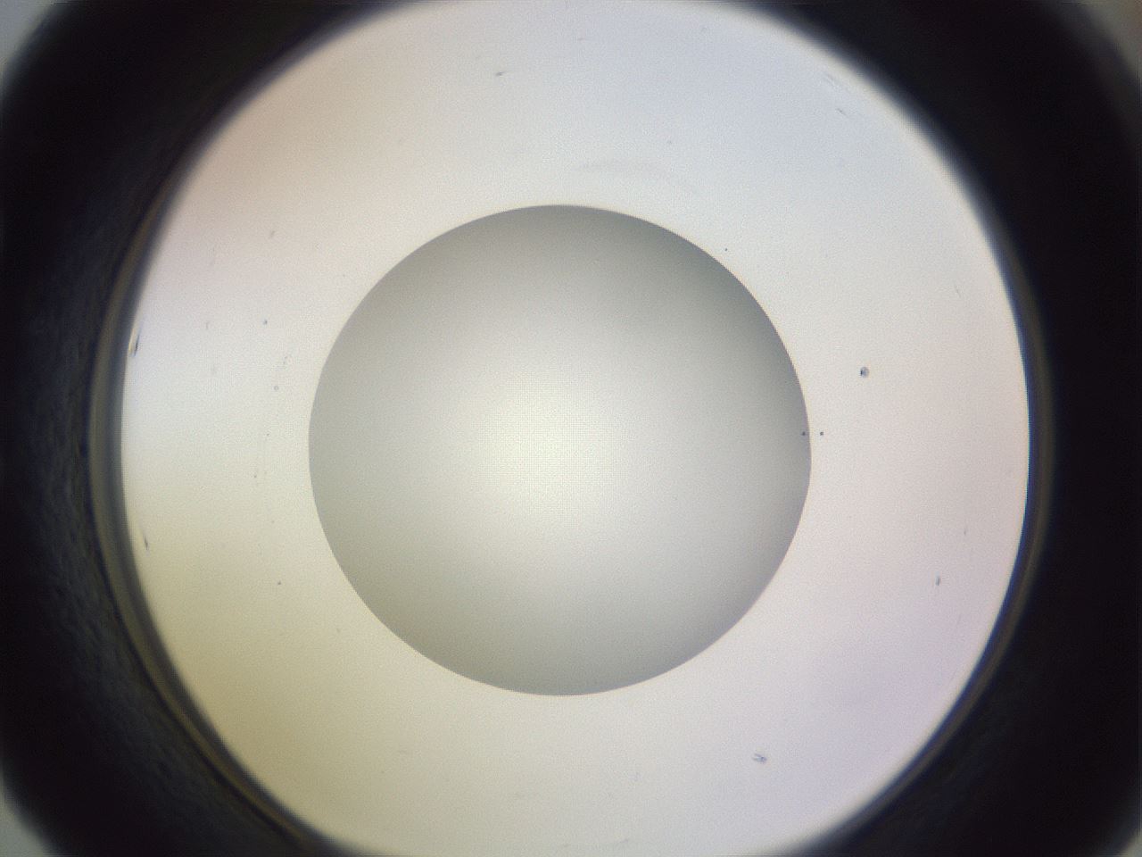 folderID416_plateID1416_batchID5191_wellNum53_profileID1_d1_r86854_ef.jpg