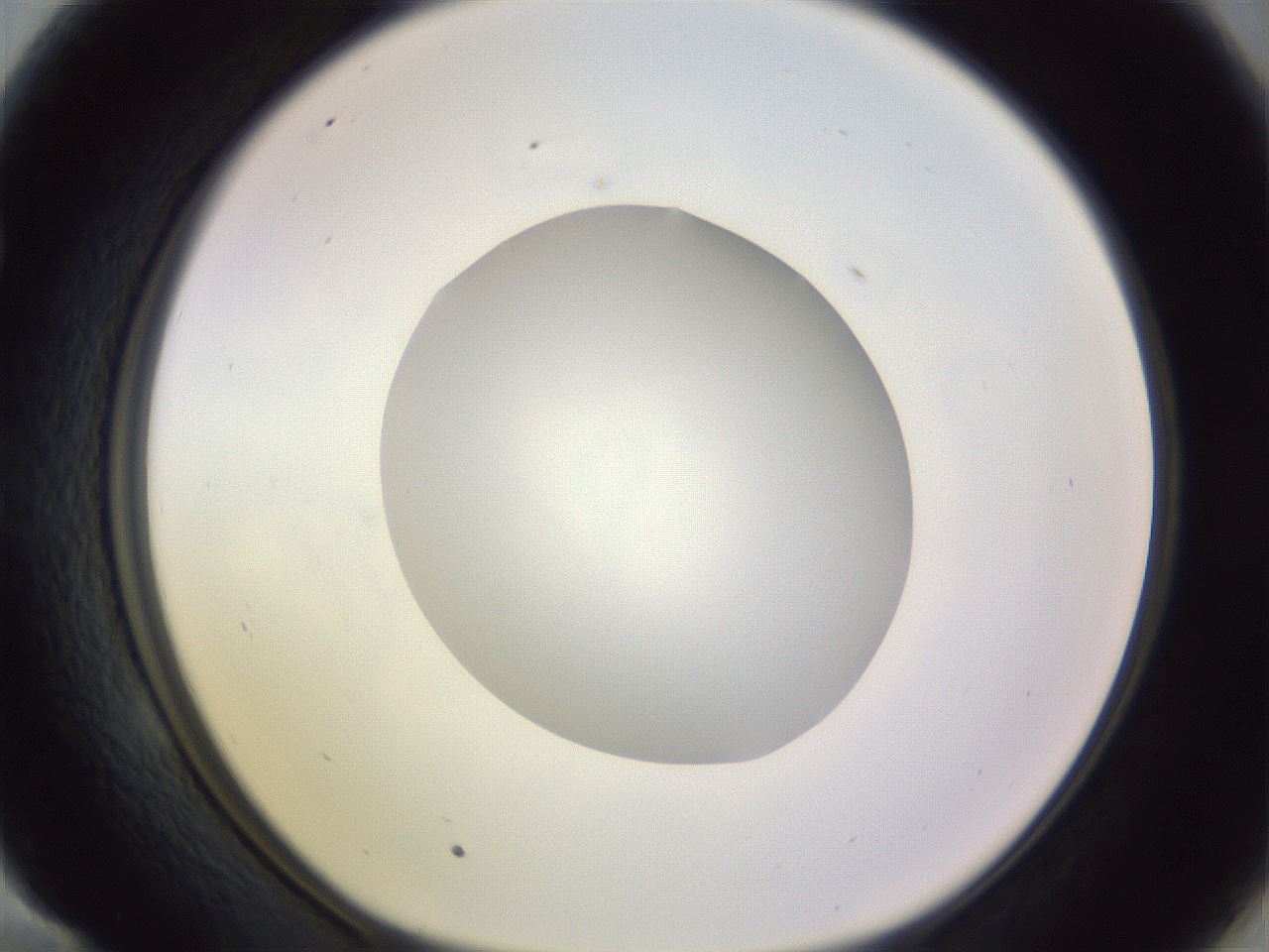 folderID416_plateID1416_batchID5191_wellNum58_profileID1_d1_r86859_ef.jpg