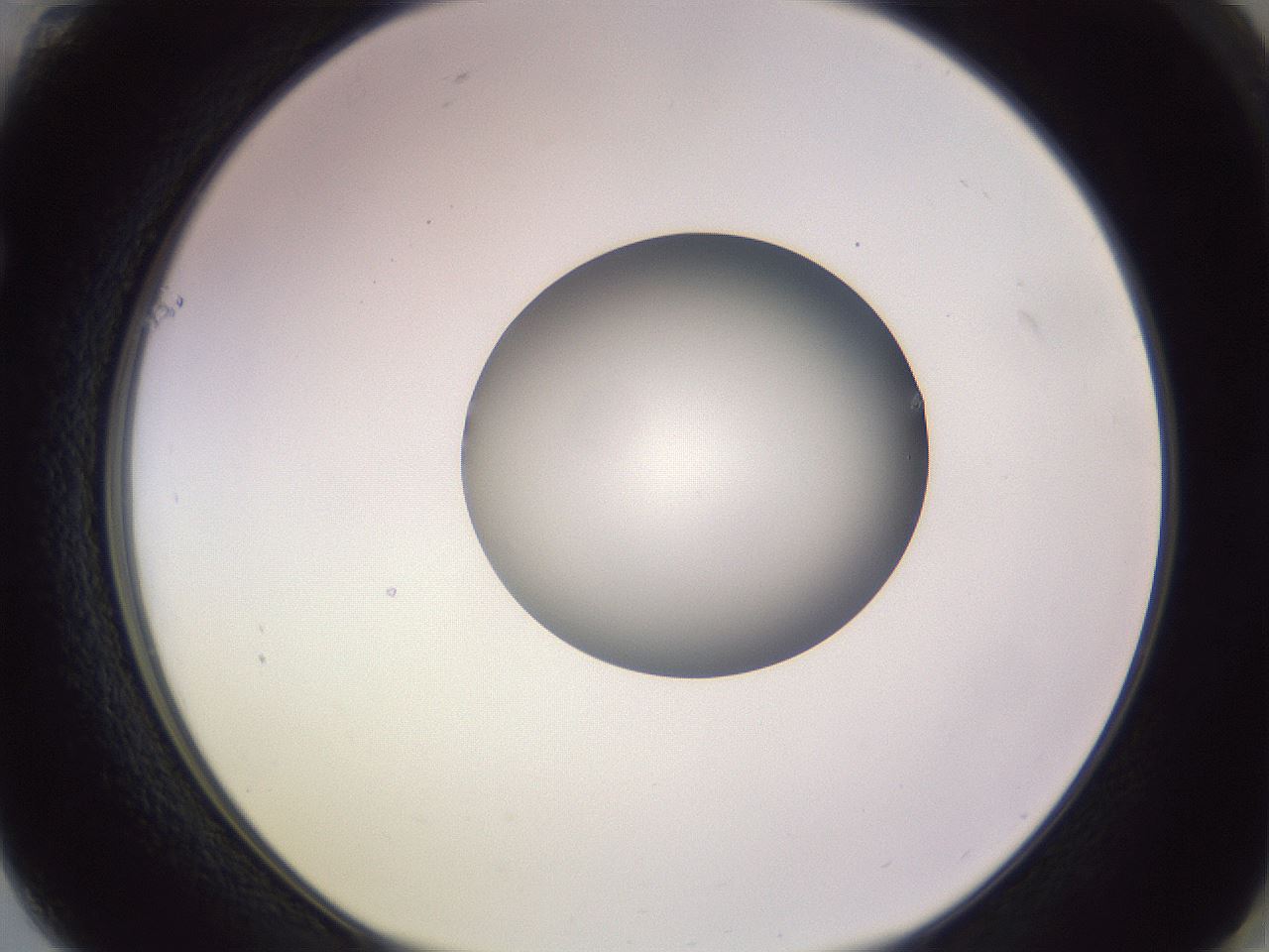 folderID416_plateID1416_batchID5191_wellNum61_profileID1_d1_r86862_ef.jpg