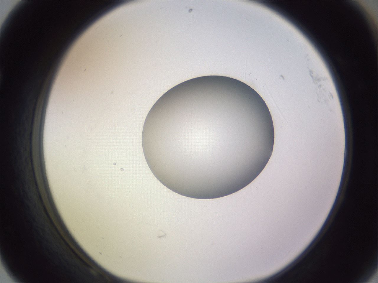 folderID416_plateID1416_batchID5191_wellNum68_profileID1_d1_r86869_ef.jpg