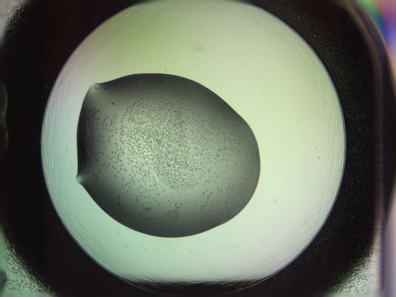 02my_B7_ImagerDefaults_6.jpg