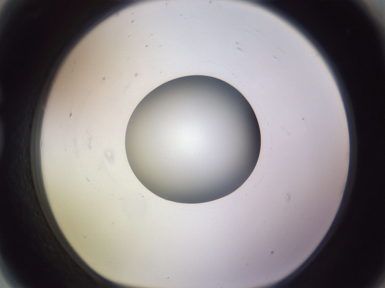 folderID416_plateID1416_batchID5191_wellNum81_profileID1_d1_r86882_ef.jpg