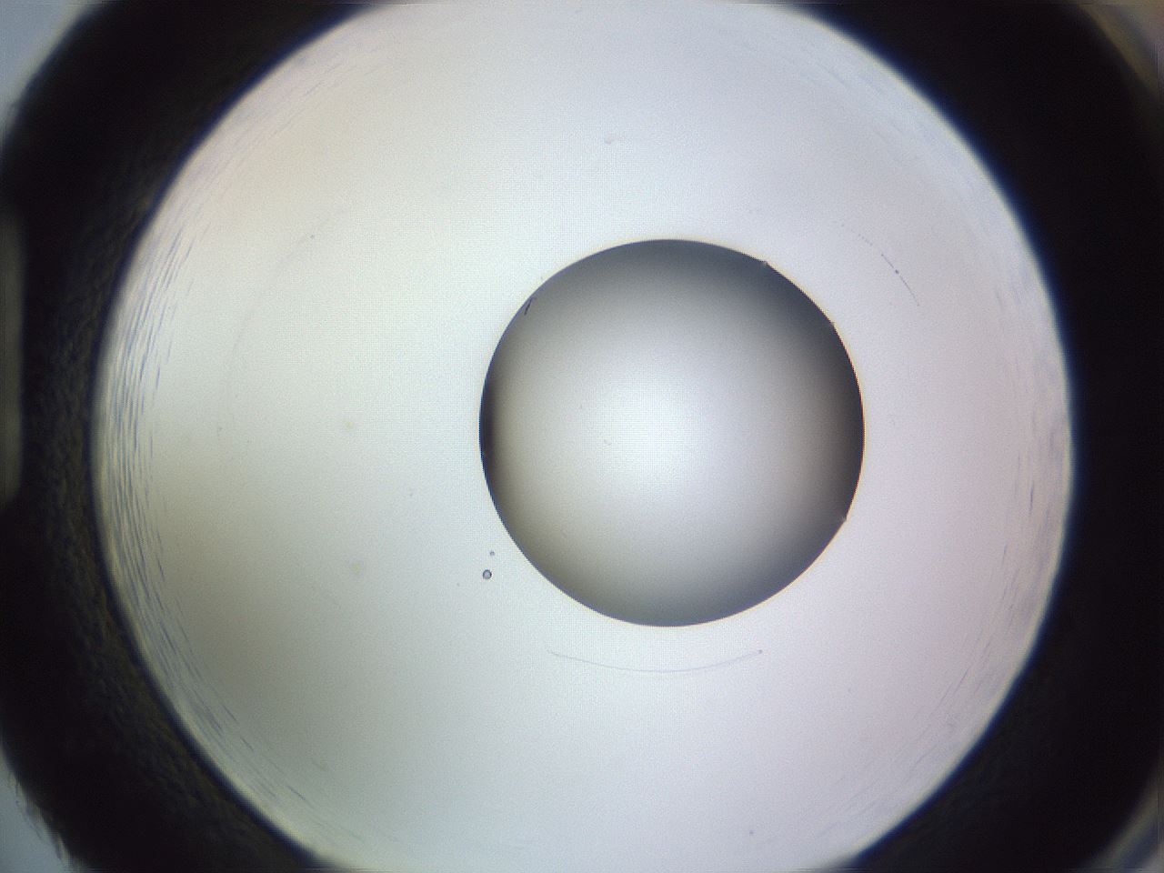 folderID416_plateID1416_batchID5191_wellNum86_profileID1_d1_r86887_ef.jpg