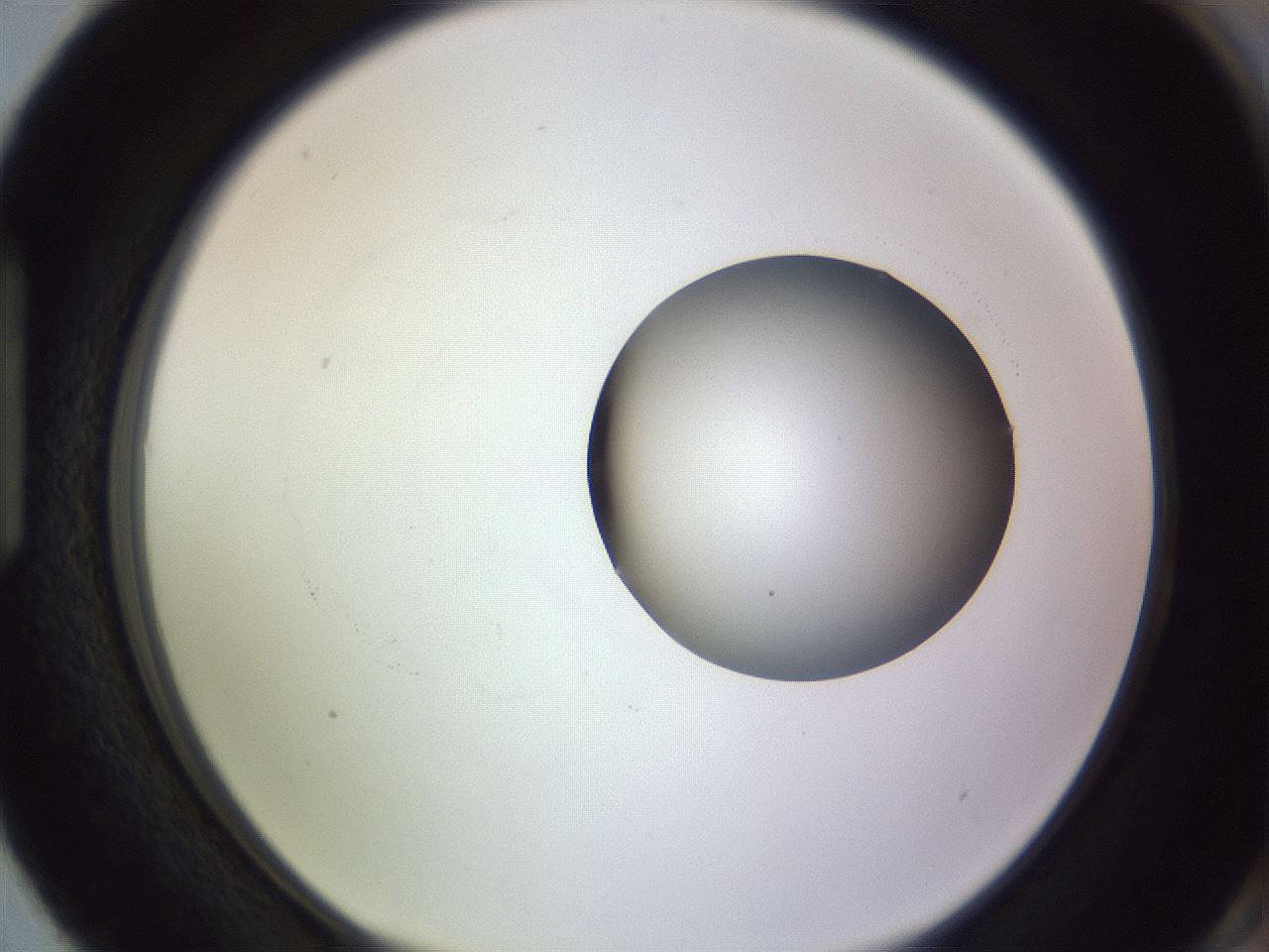 folderID416_plateID1416_batchID5191_wellNum87_profileID1_d1_r86888_ef.jpg