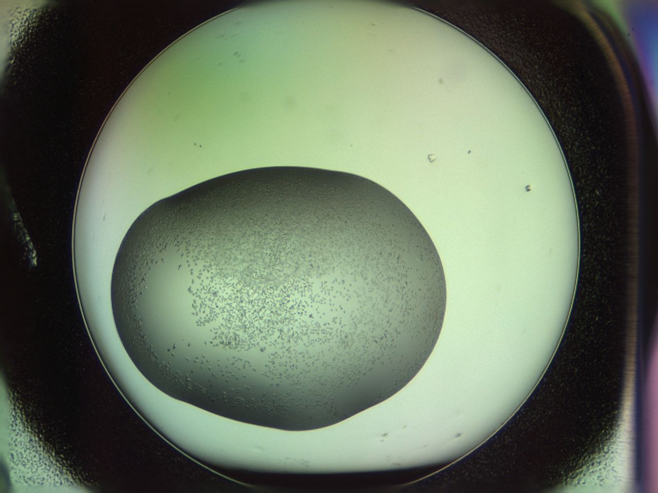 02my_A8_ImagerDefaults_6.jpg
