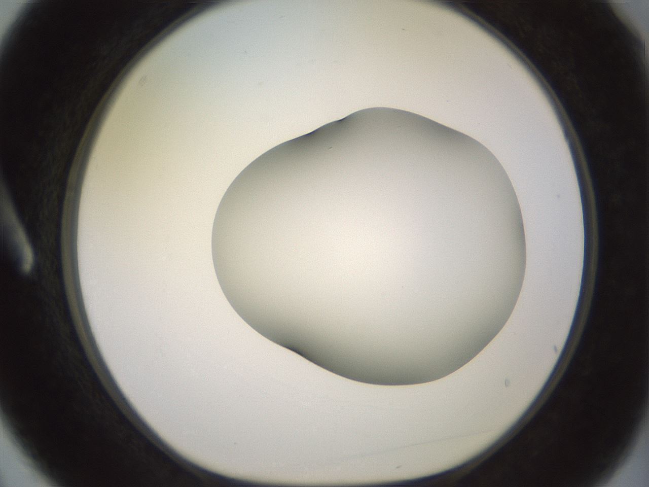 folderID416_plateID2416_batchID11658_wellNum3_profileID1_d1_r179170_ef.jpg