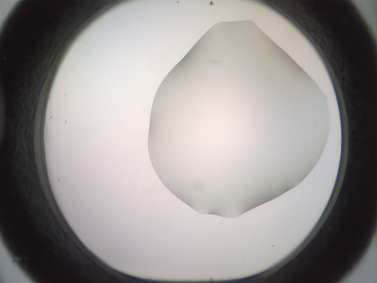 folderID416_plateID2416_batchID11658_wellNum45_profileID1_d1_r179212_ef.jpg